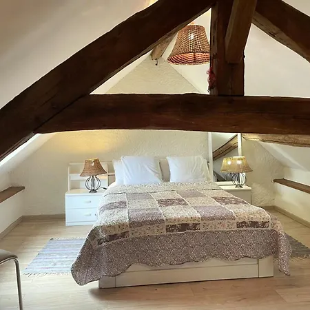 Prázdninový dům A Avec Climatisation Et Jardin - Fr-1-489-580 Lurcy-Lévis